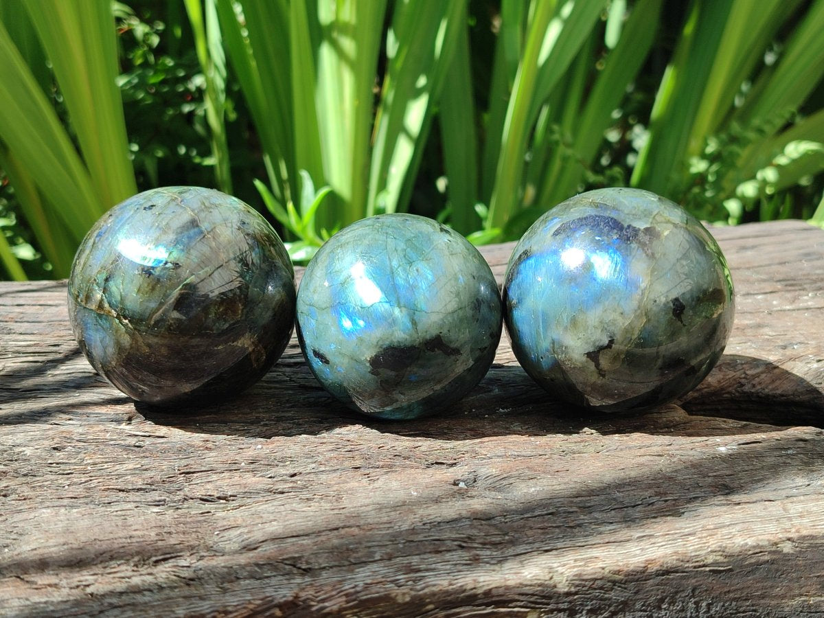 Polished Labradorite Spheres x 6 From Madagascar