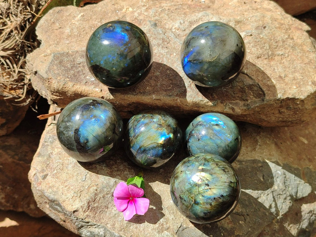Polished Labradorite Spheres x 6 From Madagascar