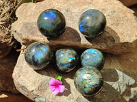 Polished Labradorite Spheres x 6 From Madagascar