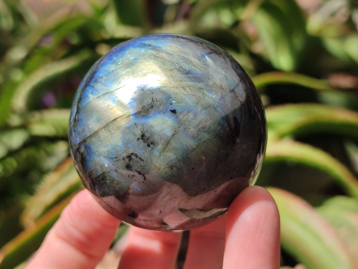 Polished Labradorite Spheres x 6 From Madagascar