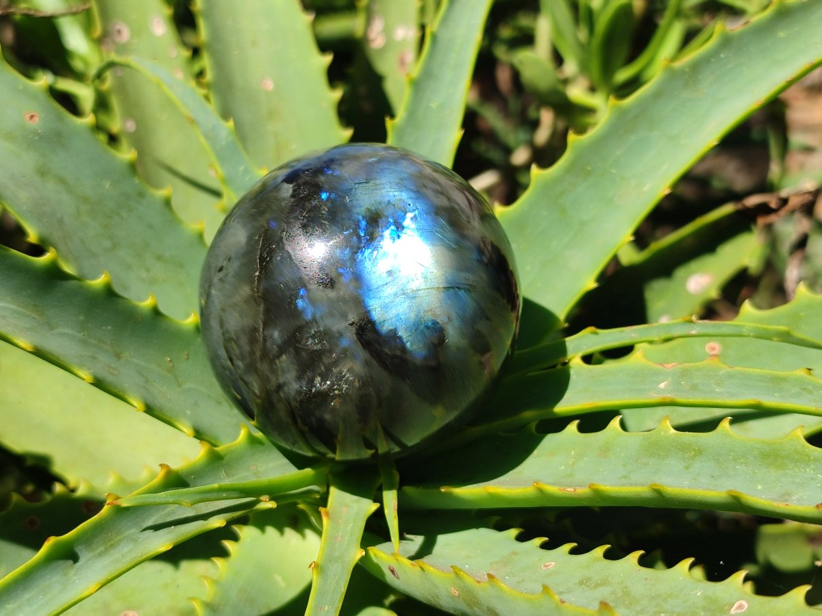 Polished Labradorite Spheres x 6 From Madagascar