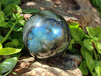 Polished Labradorite Spheres x 6 From Madagascar