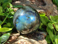 Polished Labradorite Spheres x 6 From Madagascar