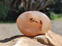 Polished Flower Agate Palm Stones x 20 From Antsahalova, Madagascar