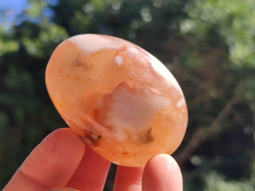 Polished Flower Agate Palm Stones x 20 From Antsahalova, Madagascar