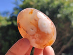 Polished Flower Agate Palm Stones x 20 From Antsahalova, Madagascar