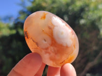Polished Flower Agate Palm Stones x 20 From Antsahalova, Madagascar