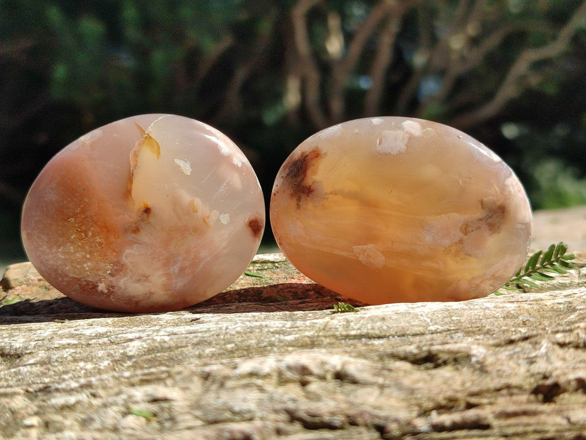 Polished Flower Agate Palm Stones x 20 From Antsahalova, Madagascar