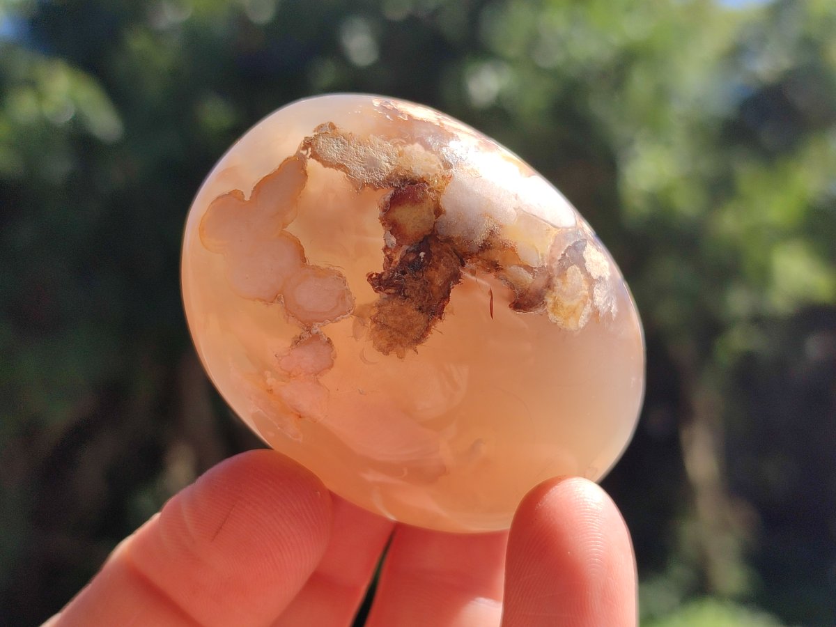 Polished Flower Agate Palm Stones x 20 From Antsahalova, Madagascar