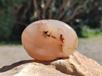 Polished Flower Agate Palm Stones x 20 From Antsahalova, Madagascar