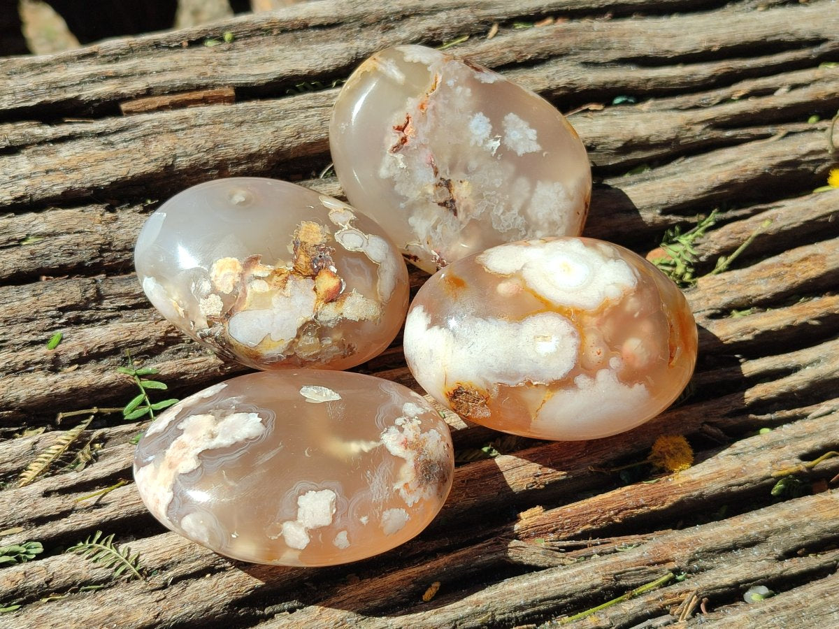 Polished Flower Agate Palm Stones x 20 From Antsahalova, Madagascar