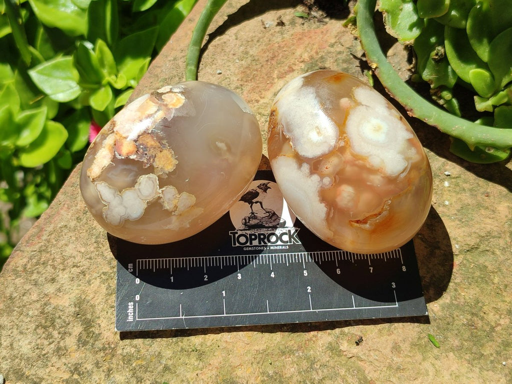 Polished Flower Agate Palm Stones x 20 From Antsahalova, Madagascar