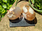 Polished Flower Agate Palm Stones x 20 From Antsahalova, Madagascar