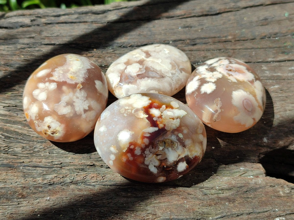 Polished Flower Agate Palm Stones x 20 From Antsahalova, Madagascar