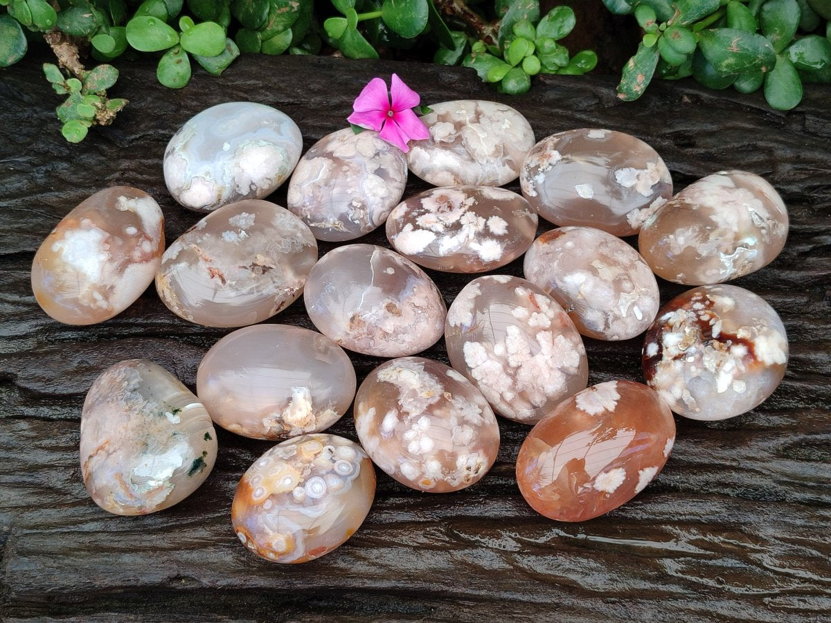 Polished Flower Agate Palm Stones x 20 From Antsahalova, Madagascar