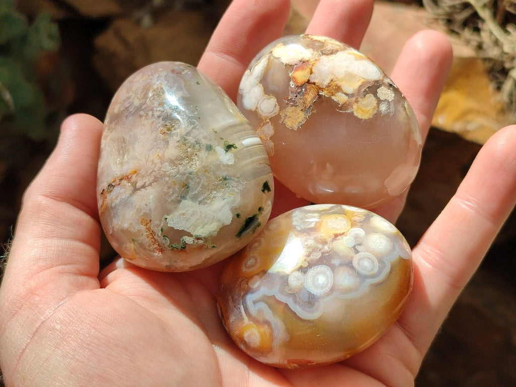 Polished Flower Agate Palm Stones x 20 From Antsahalova, Madagascar