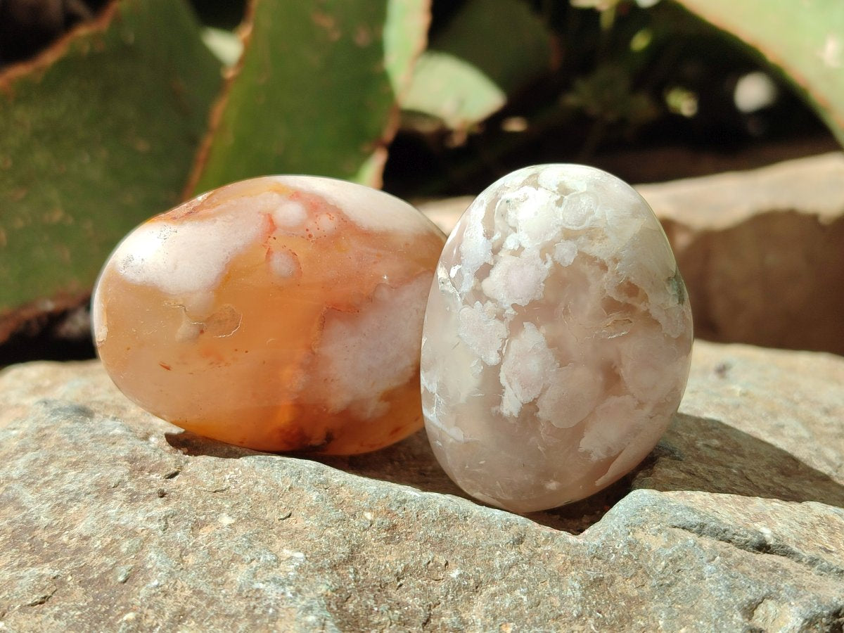 Polished Flower Agate Palm Stones x 20 From Antsahalova, Madagascar