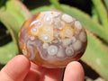 Polished Flower Agate Palm Stones x 20 From Antsahalova, Madagascar
