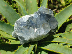 Natural Mini Blue Celestite Specimens x 20 From Sakoany, Madagascar