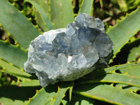 Natural Mini Blue Celestite Specimens x 20 From Sakoany, Madagascar