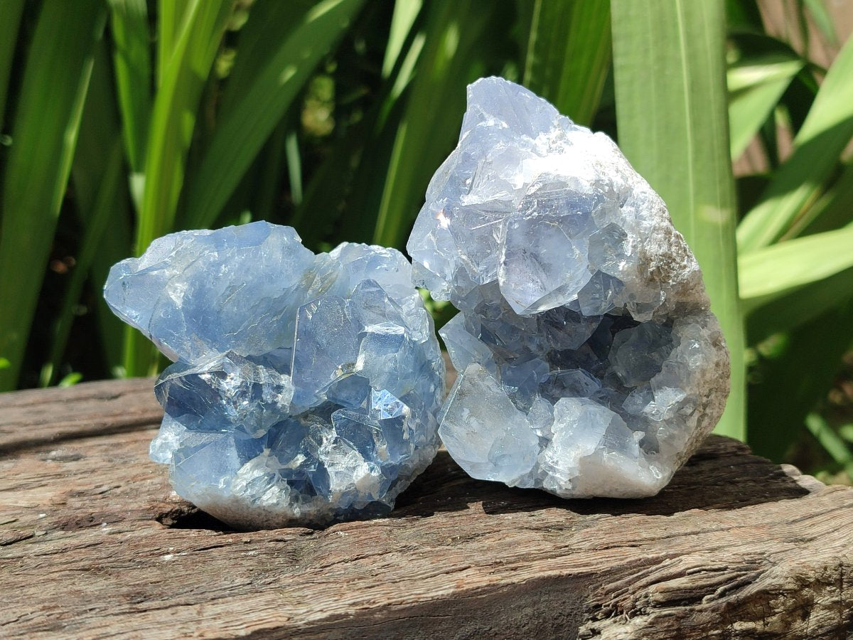 Natural Mini Blue Celestite Specimens x 20 From Sakoany, Madagascar