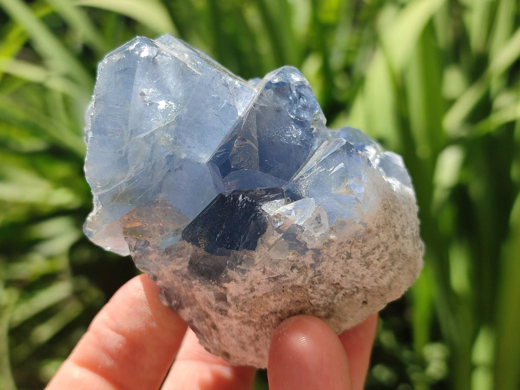 Natural Mini Blue Celestite Specimens x 20 From Sakoany, Madagascar