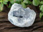Natural Mini Blue Celestite Specimens x 20 From Sakoany, Madagascar