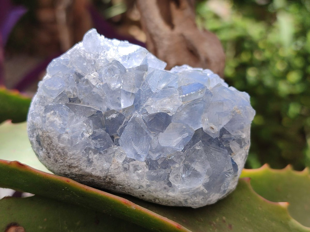 Natural Mini Blue Celestite Specimens x 20 From Sakoany, Madagascar