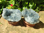 Natural Mini Blue Celestite Specimens x 20 From Sakoany, Madagascar