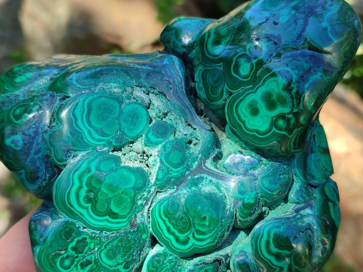 Polished Flower Banded Malachite Free Forms x 2 From Congo - Toprock Gemstones and Minerals 