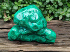 Polished Flower Banded Malachite Free Forms x 2 From Congo - Toprock Gemstones and Minerals 