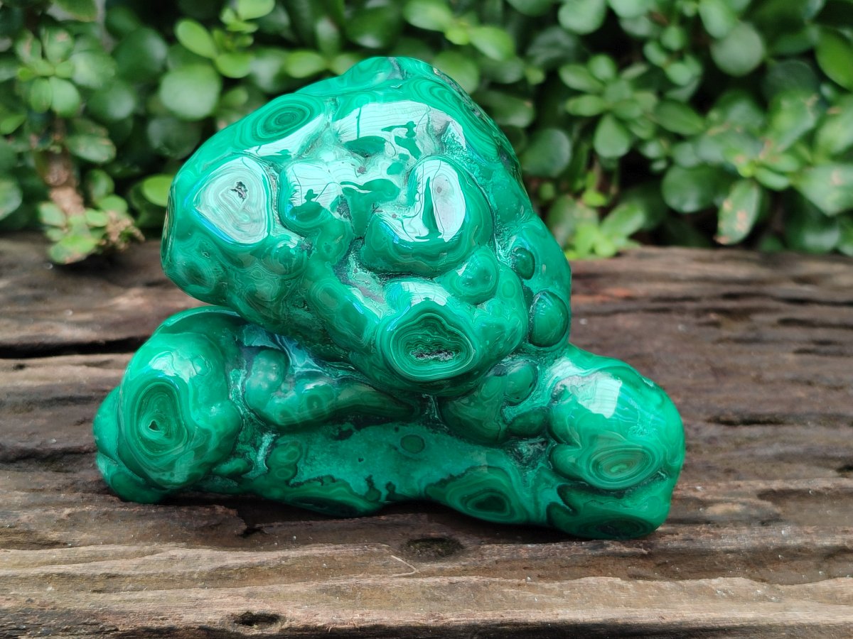 Polished Flower Banded Malachite Free Forms x 2 From Congo