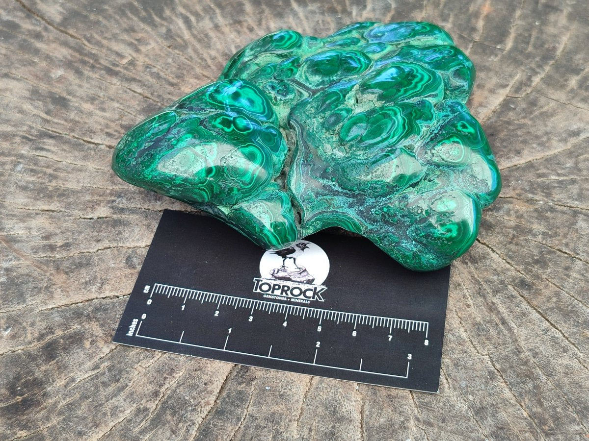 Polished Flower Banded Malachite Free Forms x 2 From Congo