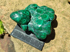 Polished Flower Banded Malachite Free Forms x 2 From Congo - Toprock Gemstones and Minerals 