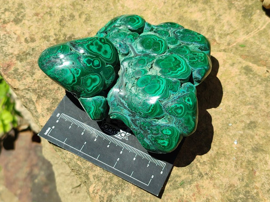 Polished Flower Banded Malachite Free Forms x 2 From Congo - Toprock Gemstones and Minerals 