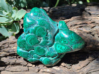 Polished Flower Banded Malachite Free Forms x 2 From Congo