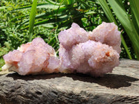 Natural Cactus Flower Amethyst Spirit Clusters x 2 From South Africa