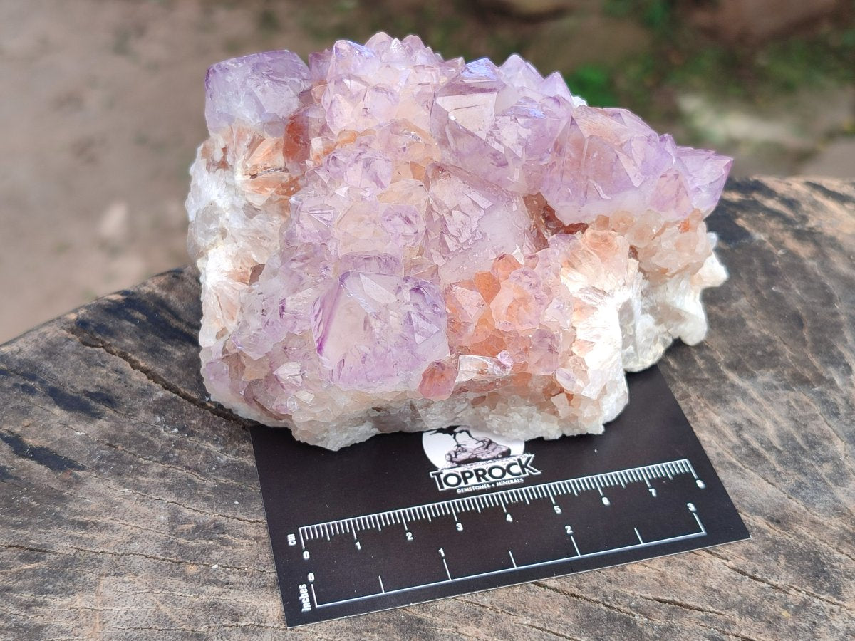 Natural Cactus Flower Amethyst Spirit Clusters x 2 From South Africa