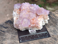 Natural Cactus Flower Amethyst Spirit Clusters x 2 From South Africa