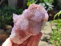 Natural Cactus Flower Amethyst Spirit Clusters x 2 From South Africa