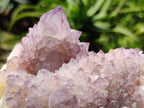 Natural Cactus Flower Amethyst Spirit Clusters x 2 From South Africa