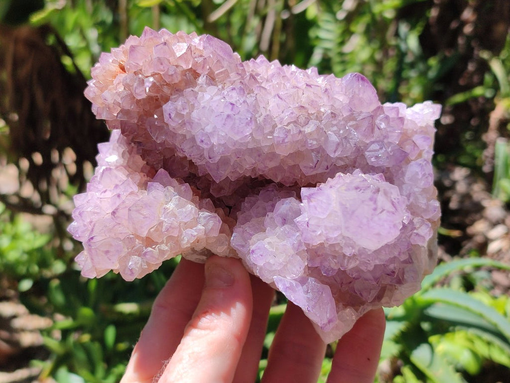 Natural Cactus Flower Amethyst Spirit Clusters x 2 From South Africa