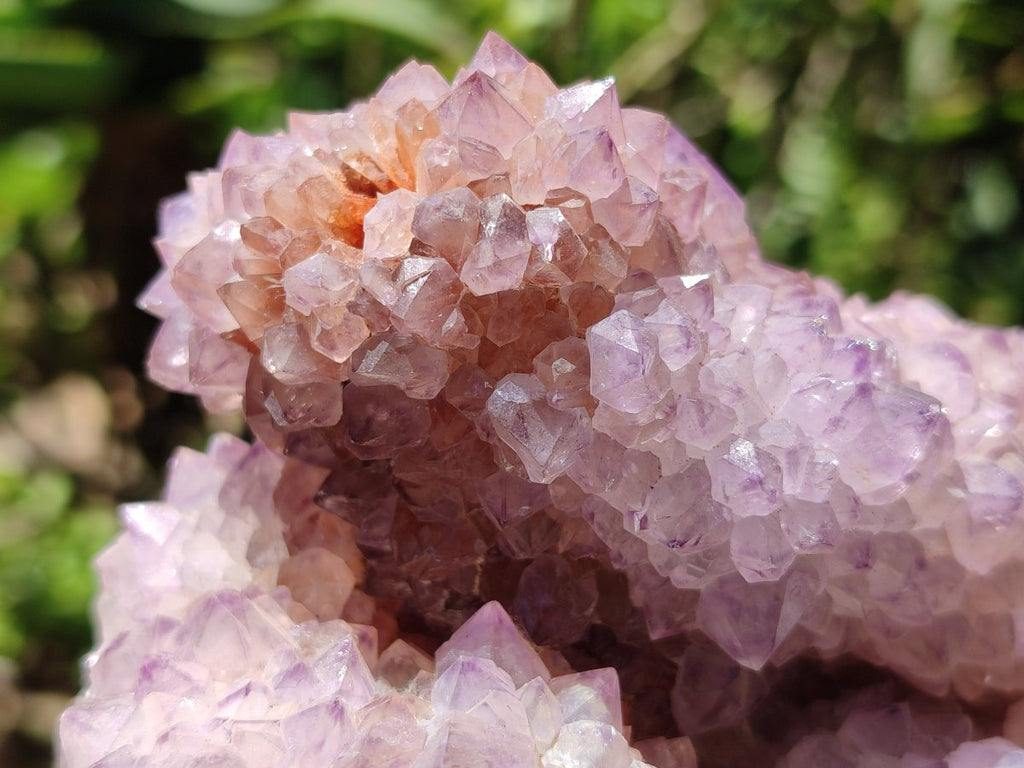 Natural Cactus Flower Amethyst Spirit Clusters x 2 From South Africa
