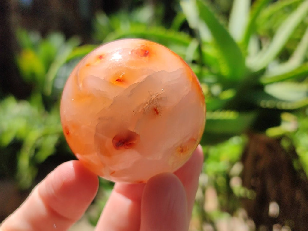 Polished Carnelian Agate Gemstone Spheres x 8 From Madagascar