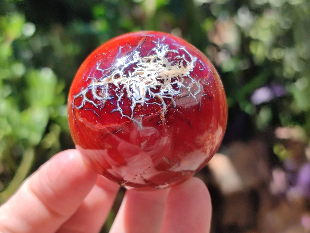 Polished Carnelian Agate Gemstone Spheres x 8 From Madagascar