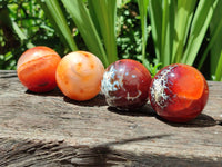 Polished Carnelian Agate Gemstone Spheres x 8 From Madagascar