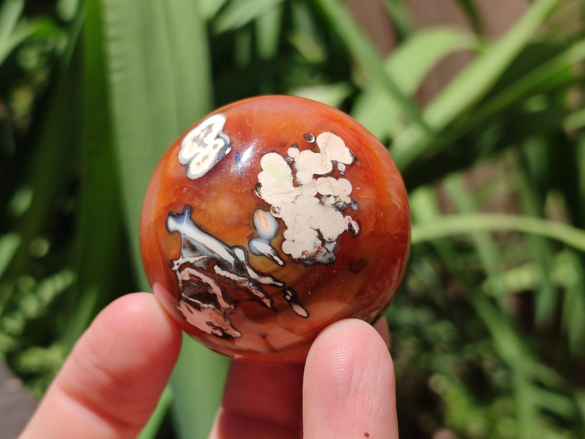Polished Carnelian Agate Gemstone Spheres x 8 From Madagascar