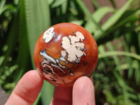 Polished Carnelian Agate Gemstone Spheres x 8 From Madagascar