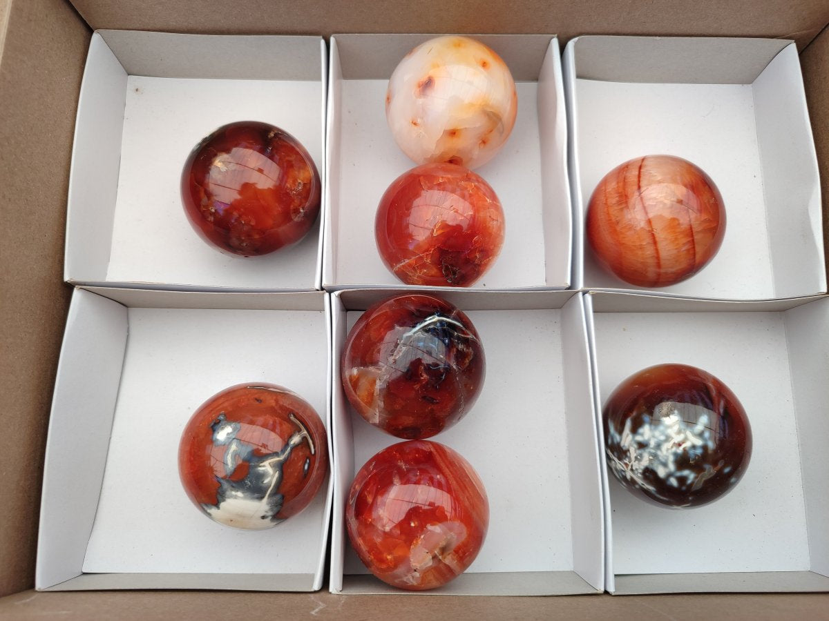 Polished Carnelian Agate Gemstone Spheres x 8 From Madagascar