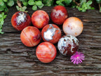 Polished Carnelian Agate Gemstone Spheres x 8 From Madagascar